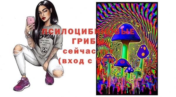 стафф Куйбышев